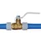 Apollo Apollo 1/2 in. Brass Expansion Pex Ball Valve Full Port Quarter-Turn Lever For Potable Water EPXV12 - alternate 4